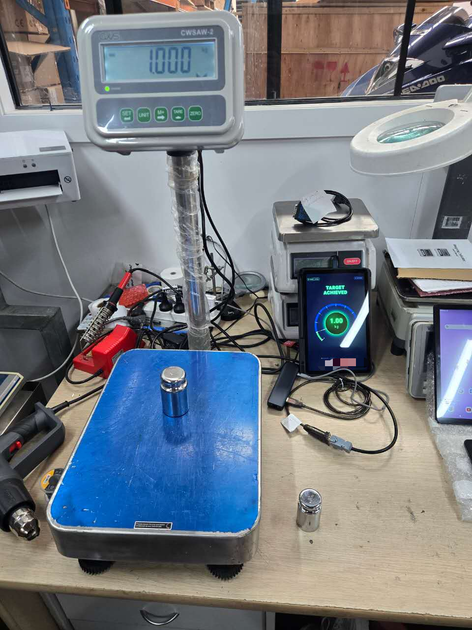 CWS Customised Weighing Solutions