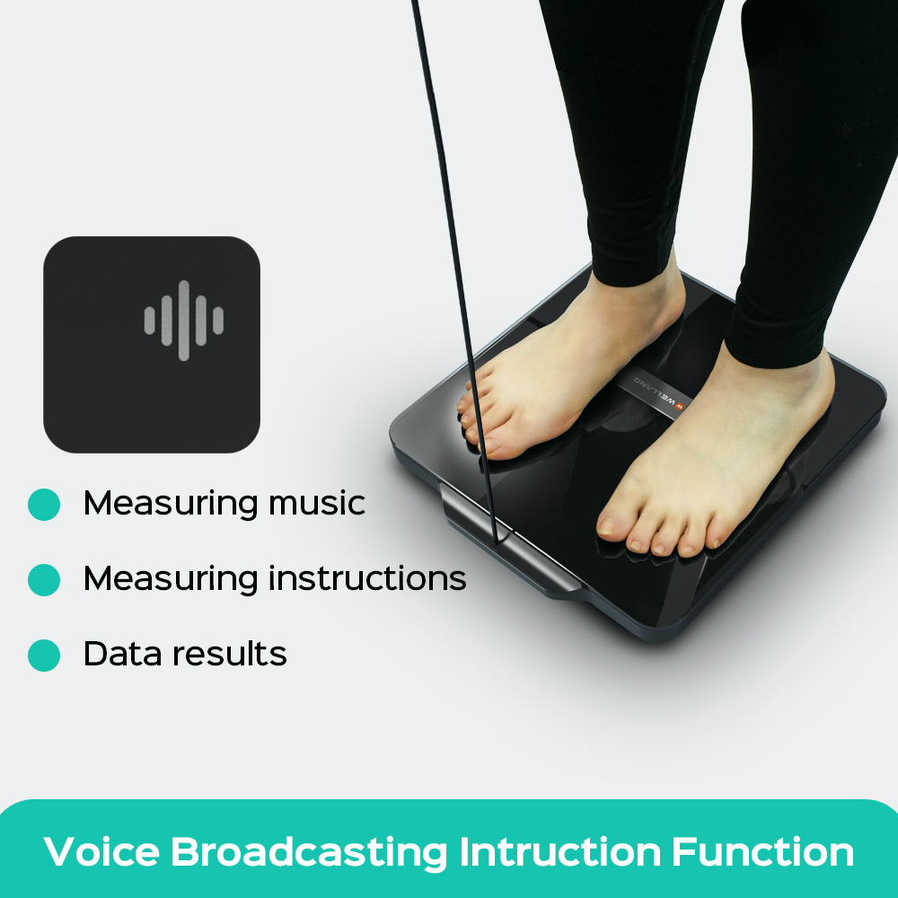 CWS DEXA BODY MEASUREMENT SCALES