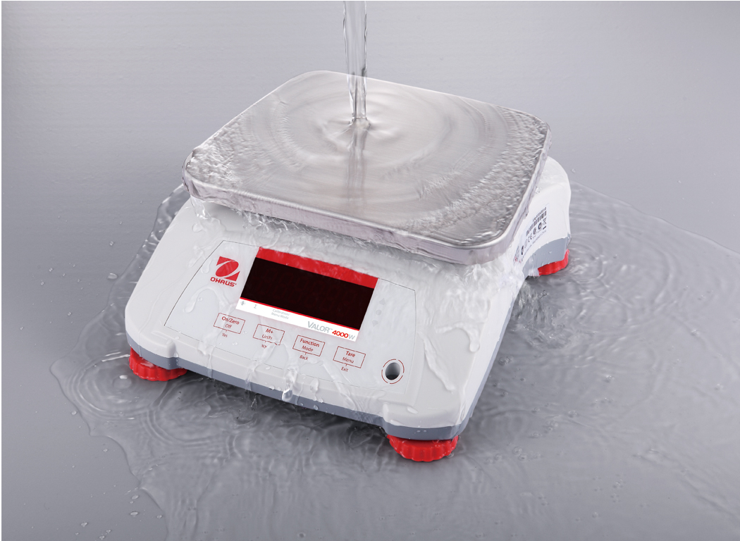 Ohaus Valor  V41X Series Stainless Steel Portion Scales